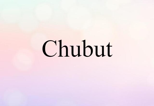 Chubut (noun) Definition, Meaning & Examples