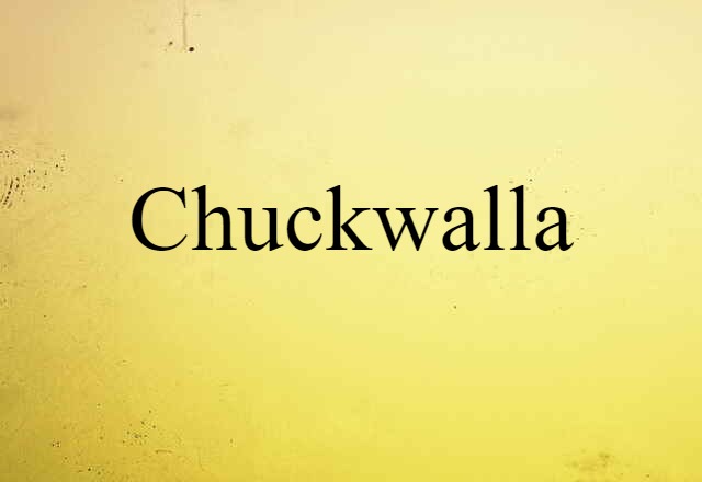 Chuckwalla (noun) Definition, Meaning & Examples