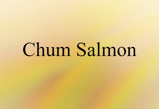 Chum Salmon (noun) Definition, Meaning & Examples