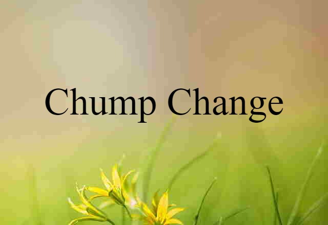 Chump Change (noun) Definition, Meaning & Examples