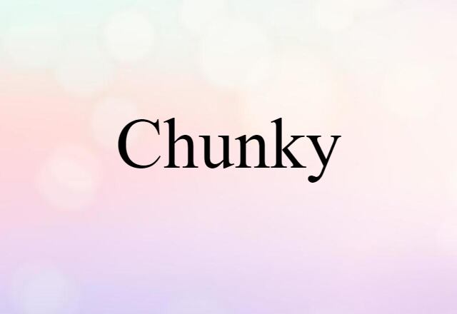 Chunky (noun) Definition, Meaning & Examples