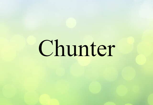 Chunter (noun) Definition, Meaning & Examples