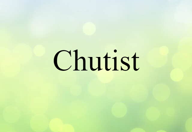 Chutist (noun) Definition, Meaning & Examples