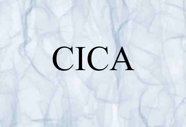 CICA (noun) Definition, Meaning & Examples