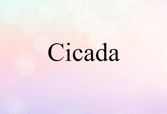 Cicada (noun) Definition, Meaning & Examples