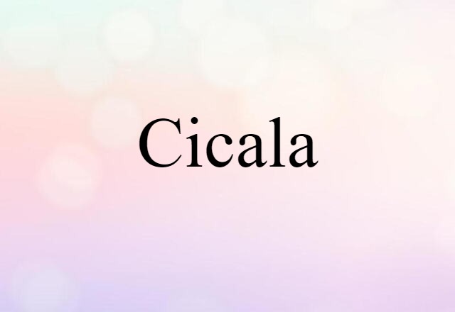 cicala