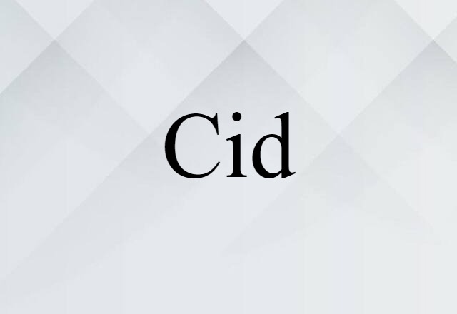 Cid (noun) Definition, Meaning & Examples