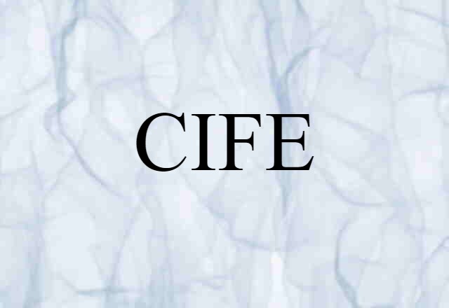 CIFE (noun) Definition, Meaning & Examples