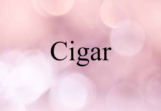 Cigar (noun) Definition, Meaning & Examples