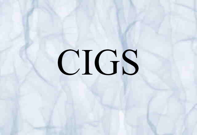 CIGS (noun) Definition, Meaning & Examples