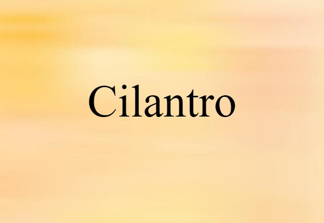 cilantro