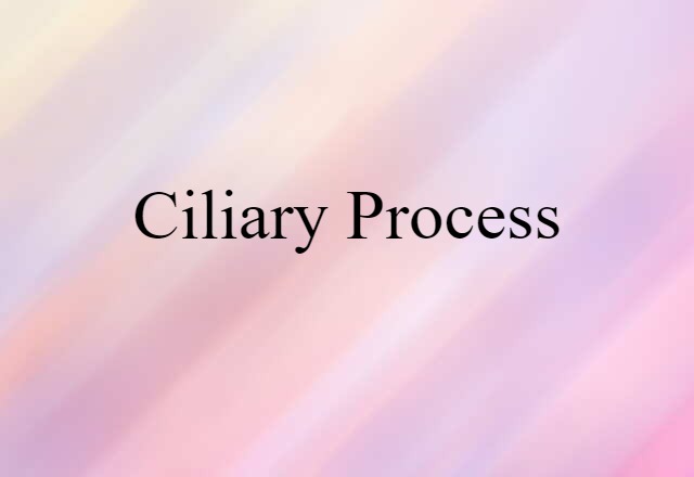 Ciliary Process (noun) Definition, Meaning & Examples