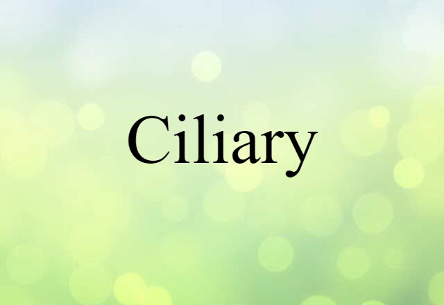 ciliary