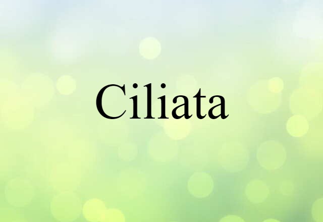 Ciliata (noun) Definition, Meaning & Examples