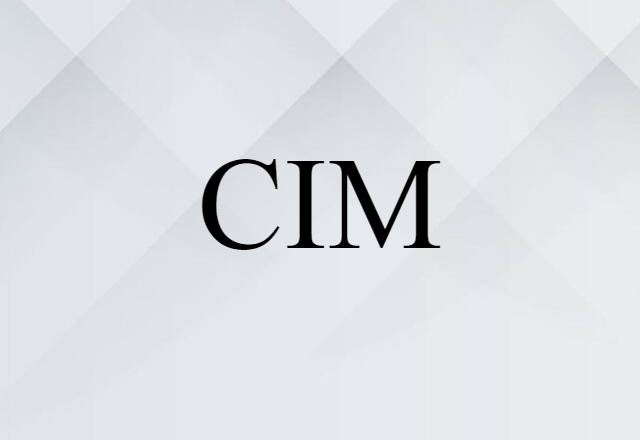 CIM (noun) Definition, Meaning & Examples