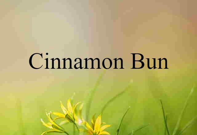 Cinnamon Bun (noun) Definition, Meaning & Examples