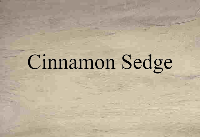 cinnamon sedge