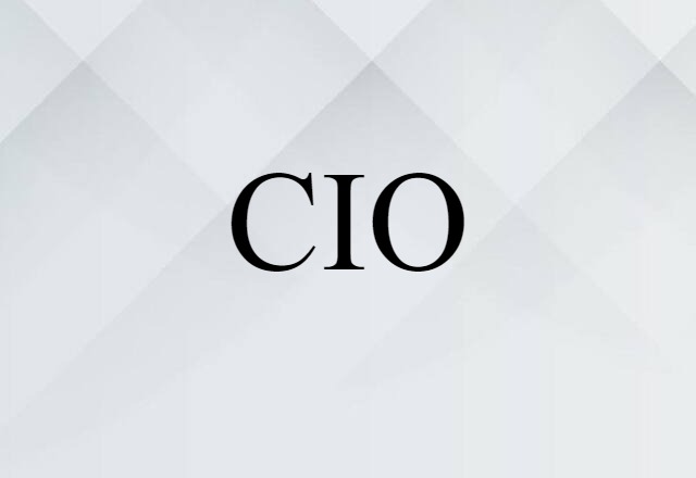 CIO (noun) Definition, Meaning & Examples