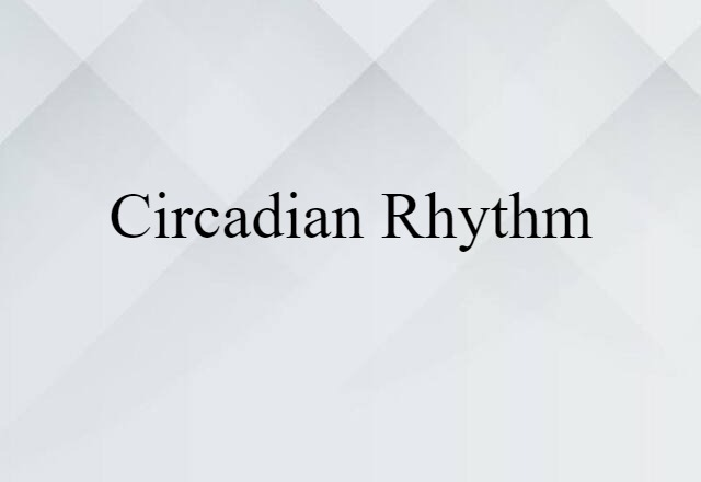 circadian rhythm