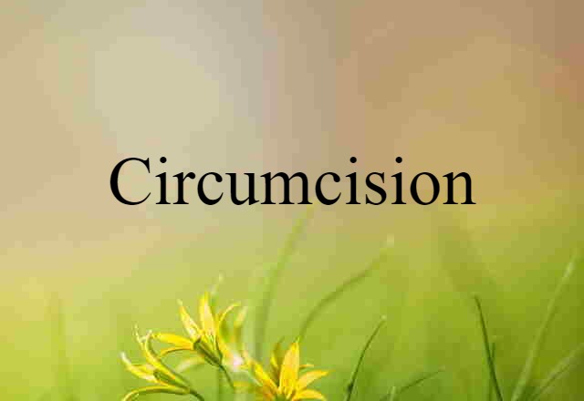 Circumcision (noun) Definition, Meaning & Examples