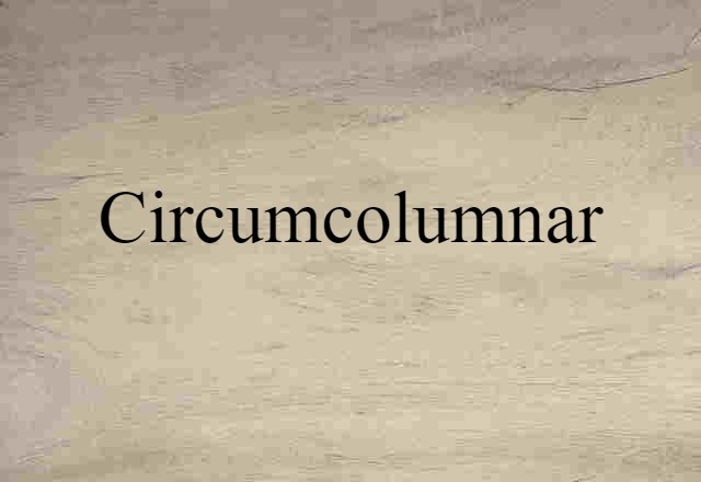 Circumcolumnar (noun) Definition, Meaning & Examples