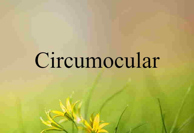 circumocular