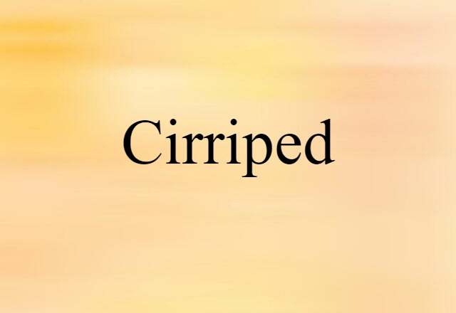 Cirriped (noun) Definition, Meaning & Examples