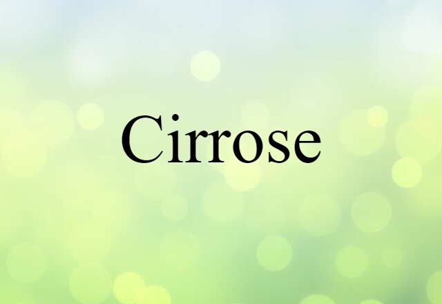 Cirrose (noun) Definition, Meaning & Examples