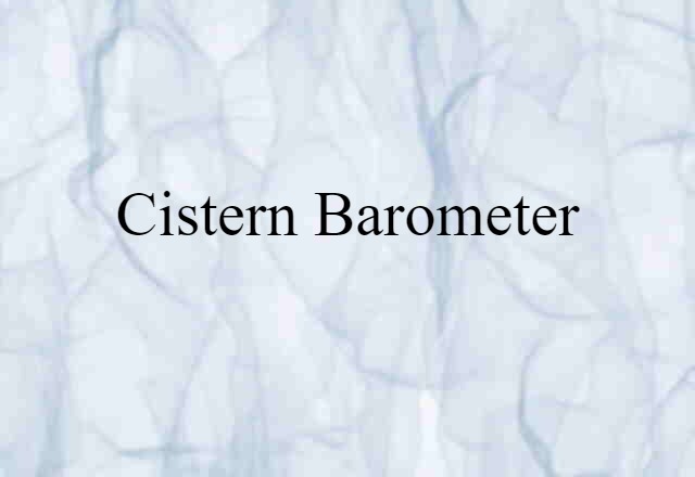 Cistern Barometer (noun) Definition, Meaning & Examples