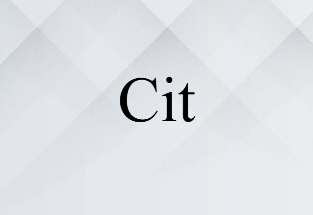 Cit (noun) Definition, Meaning & Examples