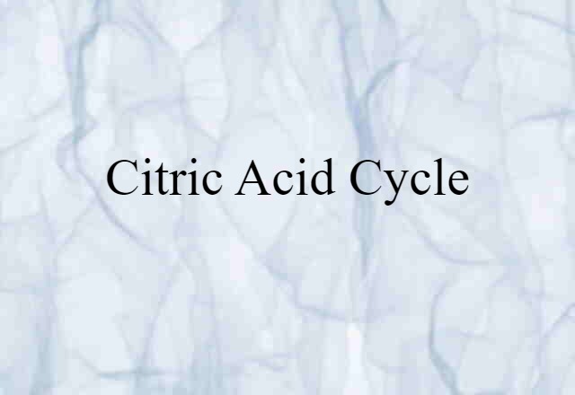 citric acid cycle