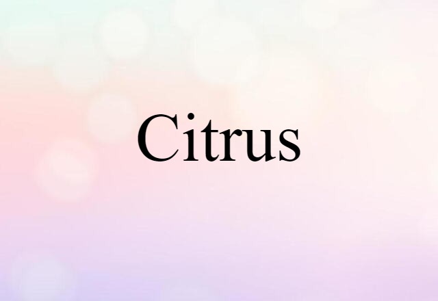 Citrus (noun) Definition, Meaning & Examples