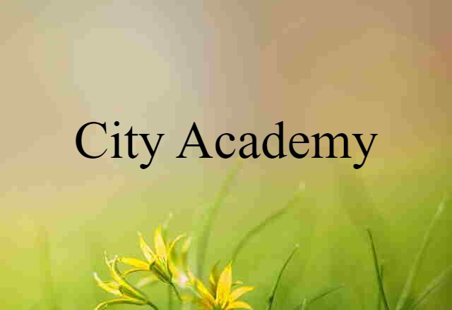 City Academy (noun) Definition, Meaning & Examples