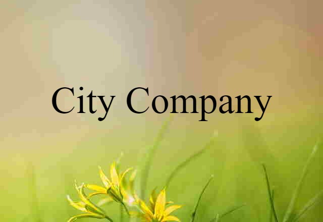 City Company