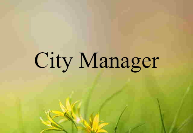 city manager