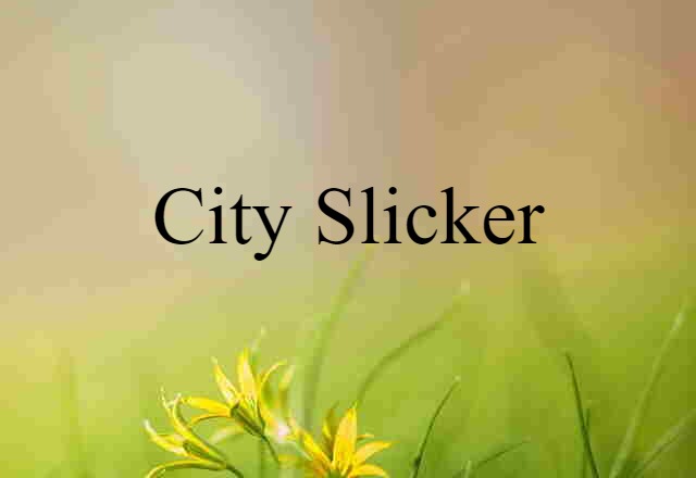 City Slicker (noun) Definition, Meaning & Examples