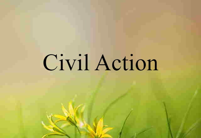 Civil Action (noun) Definition, Meaning & Examples