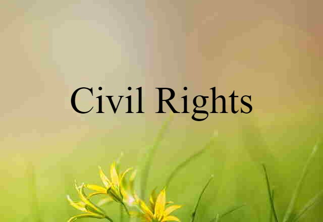 civil rights