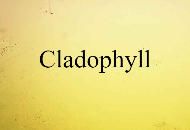 cladophyll