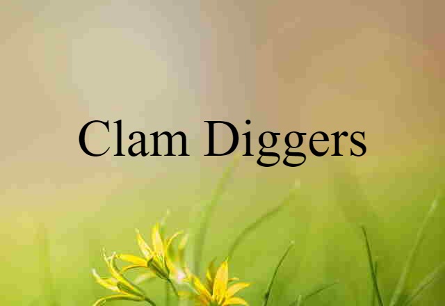 clam diggers