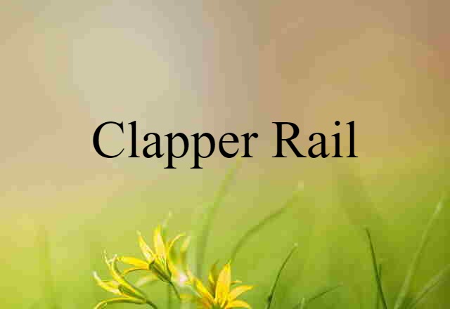 Clapper Rail (noun) Definition, Meaning & Examples