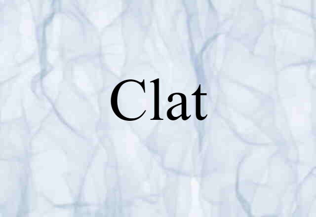 Clat (noun) Definition, Meaning & Examples