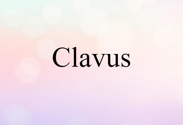 clavus