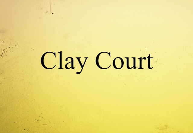 Clay Court (noun) Definition, Meaning & Examples