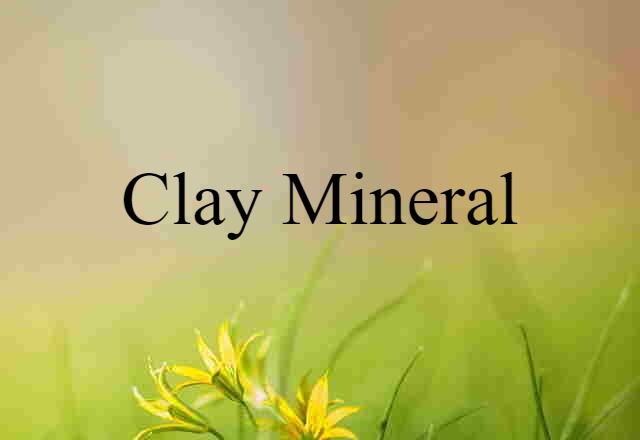 clay mineral