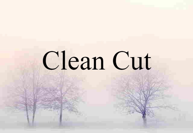 Clean-cut (noun) Definition, Meaning & Examples