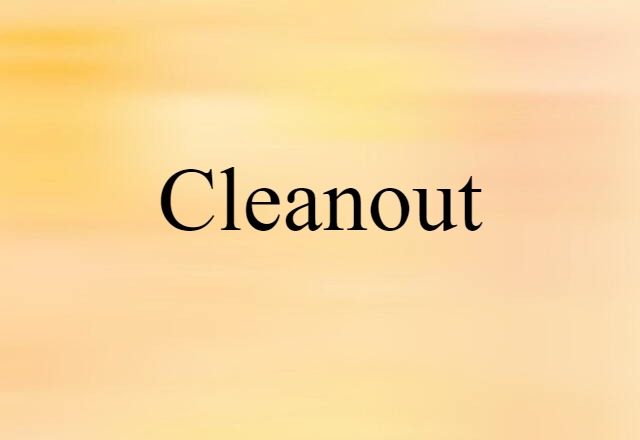 Cleanout (noun) Definition, Meaning & Examples