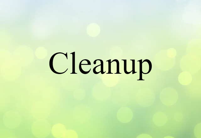 Cleanup (noun) Definition, Meaning & Examples