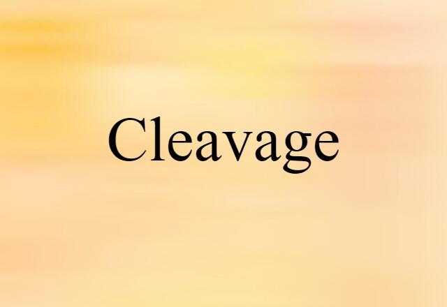 Cleavage (noun) Definition, Meaning & Examples