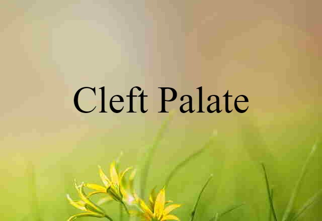 Cleft Palate (noun) Definition, Meaning & Examples